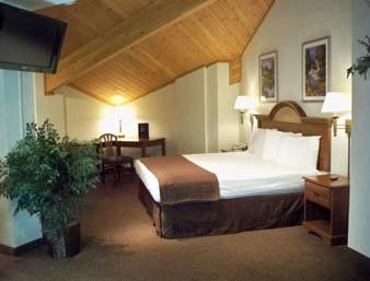 Comfort Inn Painesville Bilik gambar